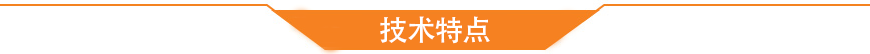 技術(shù)特點(diǎn)